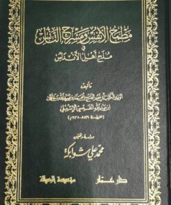 مطمح الانفس ومسرح التأنس في ملح اهل الاندلس