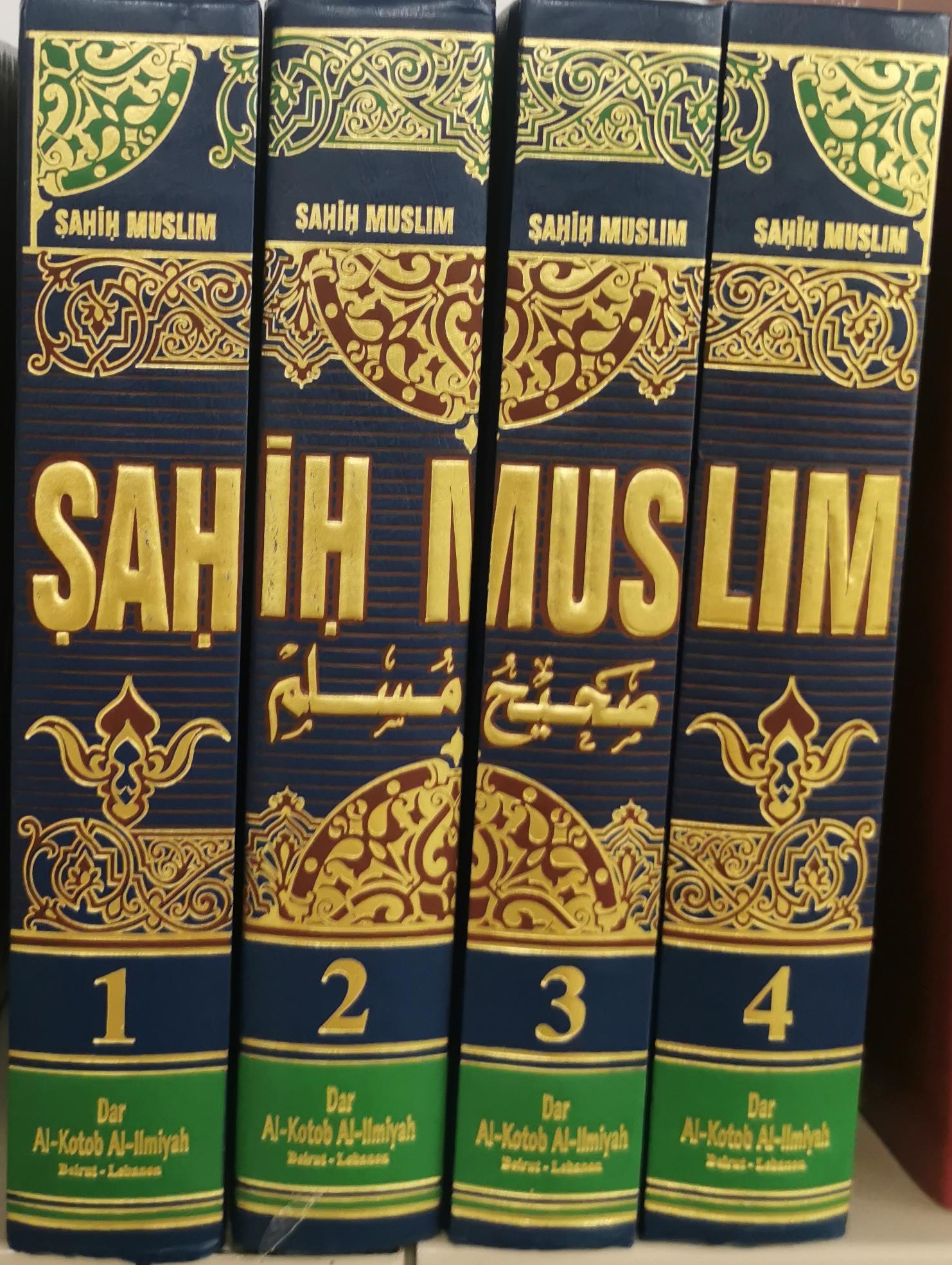 صحيح مسلم المسمى الجامع الصحيح صحيح مسلم المسمى الجامع الصحيح