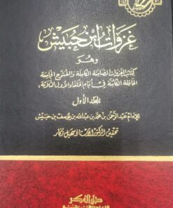 غزوات ابن حبيش